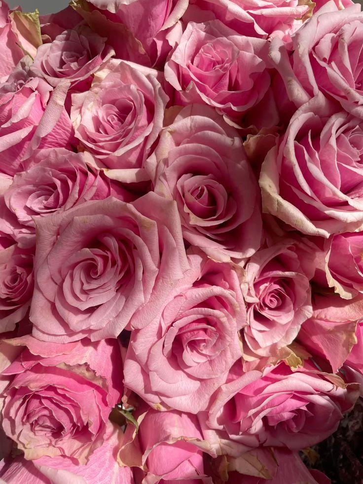 Garden's Secret: Whispering Flora Melody